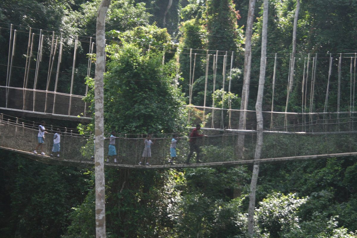 Kakum National Park canopy walkway