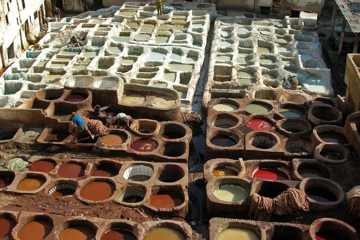 Chouara Tannery, Fes