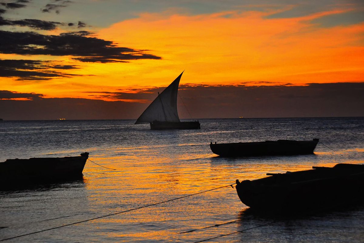Dhows at sunset off Zanzibar