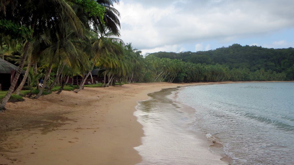 Palm-lined beach, S&atilde;o Tom&eacute; & Pr&iacute;ncipe