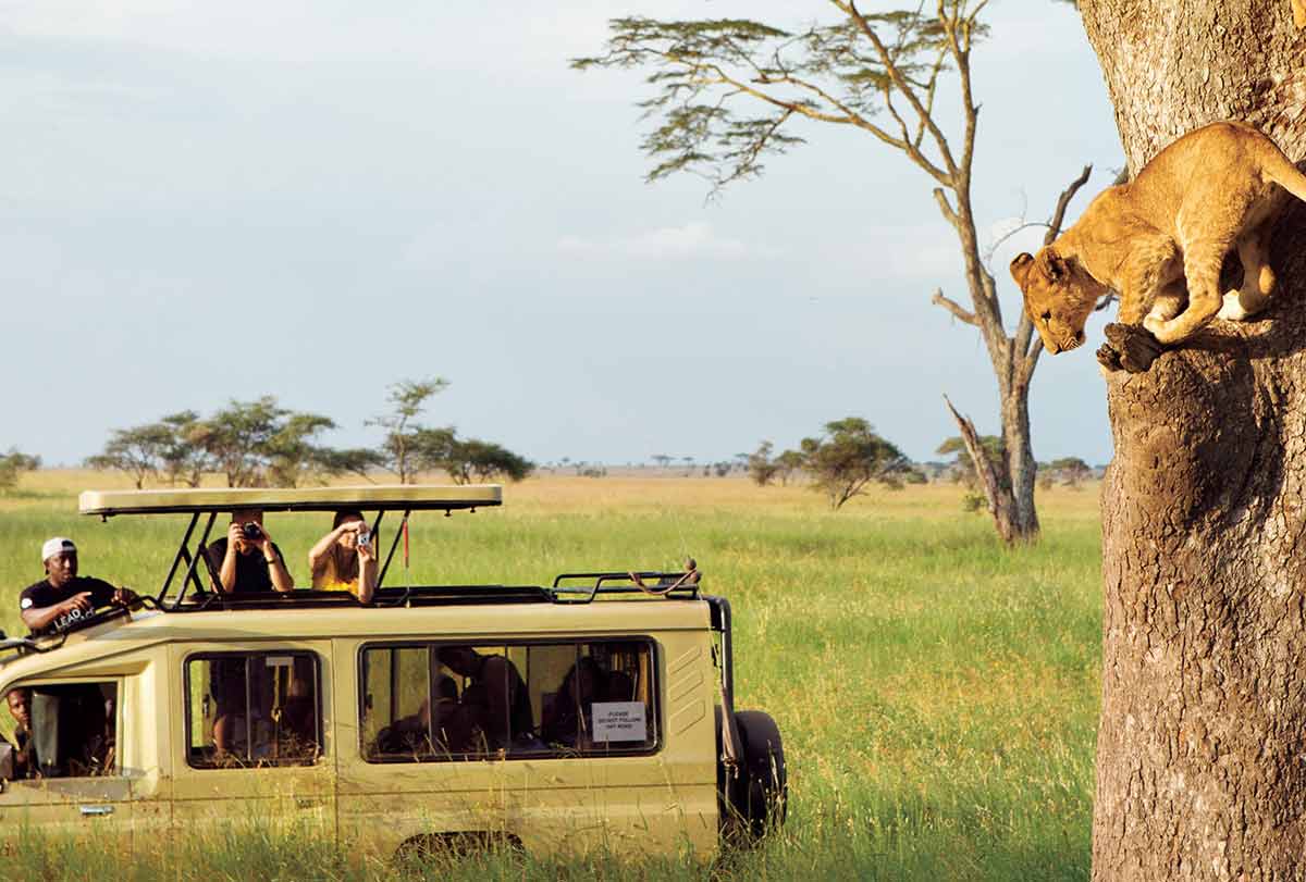 Navigate Tanzania