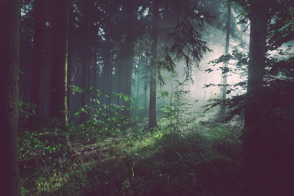 Navigate Africa guide leading a heritage tour
